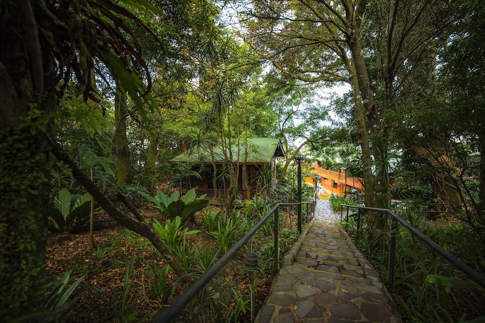 Hotel Heliconia - Monteverde 外观 照片